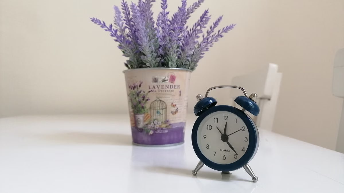 A small blue analog clock next to a lavender plant in decorative pot on a white table.